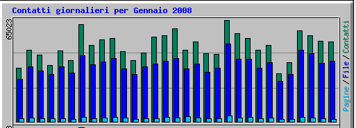 Grafico Visite Gennaio 2008