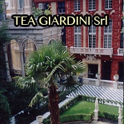 teagirdini